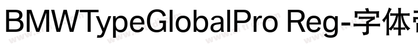BMWTypeGlobalPro Reg字体转换 BMWTypeGlobalPro Reg字体转换